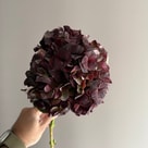 Mag Ruby