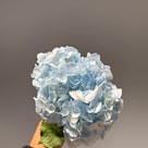 Blue premium