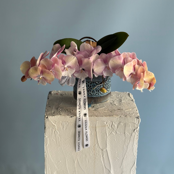 Table Orchid