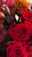 Önizleme 2